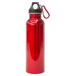 Stainless Steel Sports Bottle 750ml (DW0006)
