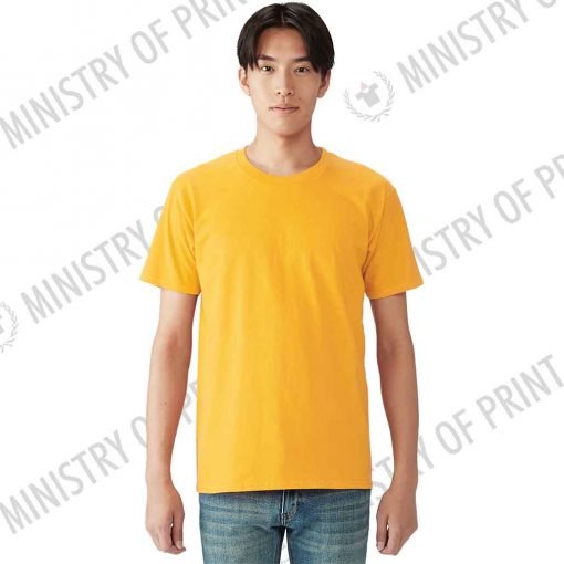 Gildan Premium Cotton Adult T-Shirts (76000)