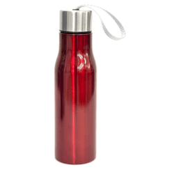 Stainless Steel Sports Bottle 650ml (DW0011)