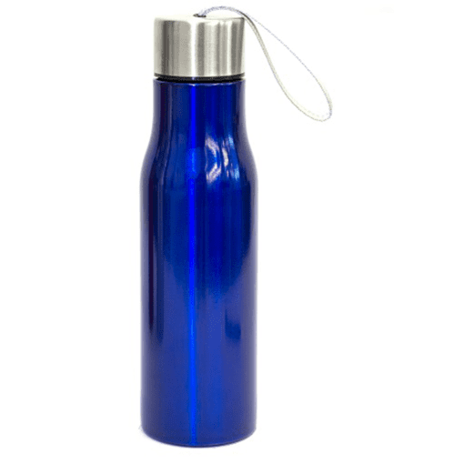 Stainless Steel Sports Bottle 650ml (DW0011)