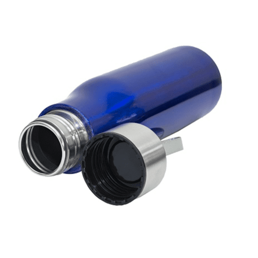 Stainless Steel Sports Bottle 650ml (DW0011)