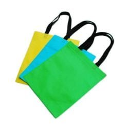 Duola Non-Woven Bag 80gsm (B0061)