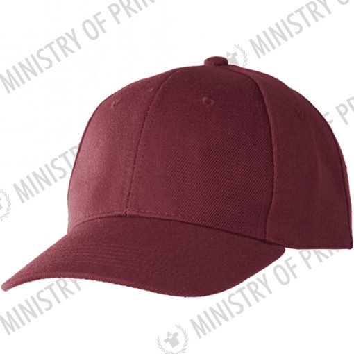 6-panel Baseball Cap (NHC1100)