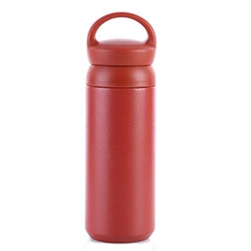 Double Wall Portable Stainless Steel Travel Tumbler 420ml (DW0055)