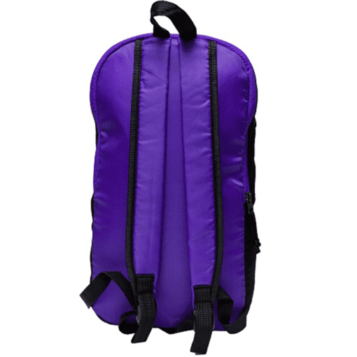 Nylon Backpack (B0017)