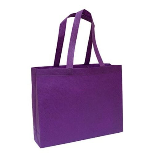 Landscape Non-Woven Bag (B0202)