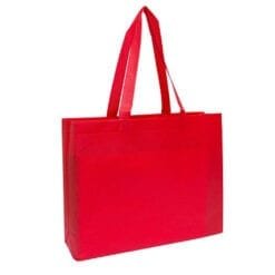 Landscape Non-Woven Bag (B0202)