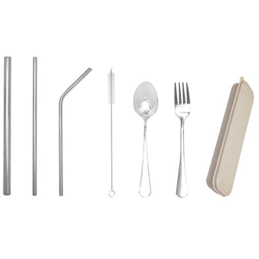 Stainless Steel Cutlery Set w Straw in Eco Case (LS0105)