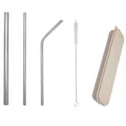 Metal Straws Set w Eco Case (LS0104)