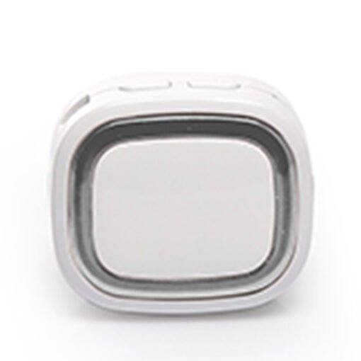Portable Bluetooth Receiver (GE0062)