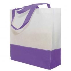 Dual Tone Non-Woven Bag (B0210)