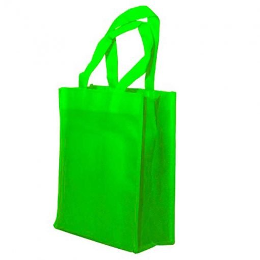 Basic Non-Woven Bag (B0211)