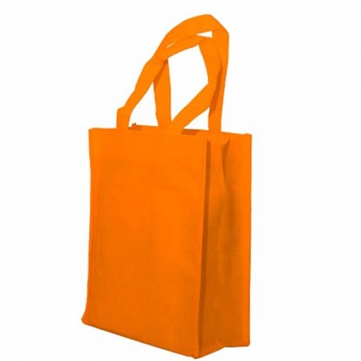 Basic Non-Woven Bag (B0211)