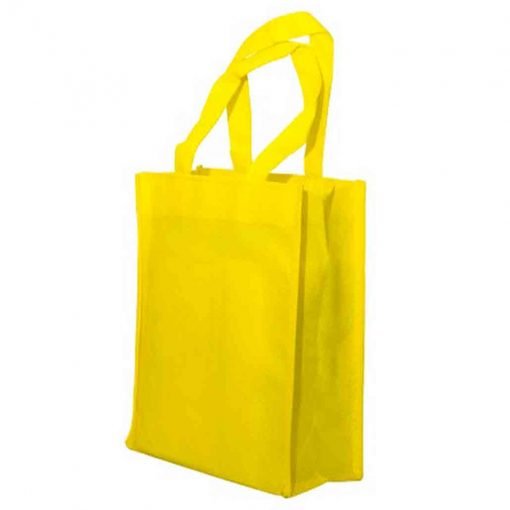 Basic Non-Woven Bag (B0211)