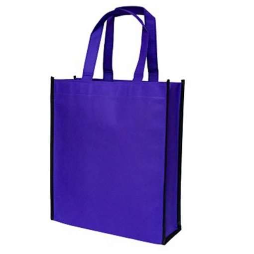 Dual Tone Non-Woven Shopping Bag (B0201)