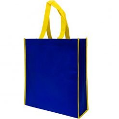 Dual Tone Non-Woven Shopping Bag (B0201)