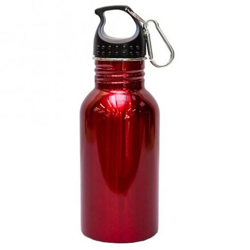 Stainless Steel Sport Bottle 450ml (DW0084)
