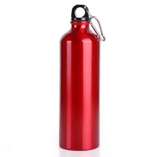Aluminium Bottle 740ml (DW0107)