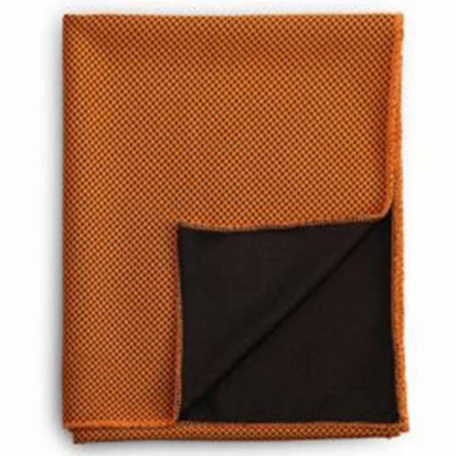 Ecoity Cooling Sports Towel (LS0067)