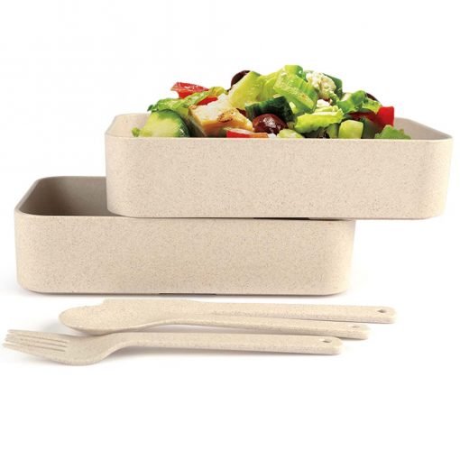 2 Tier Lunch Box (LS0094)
