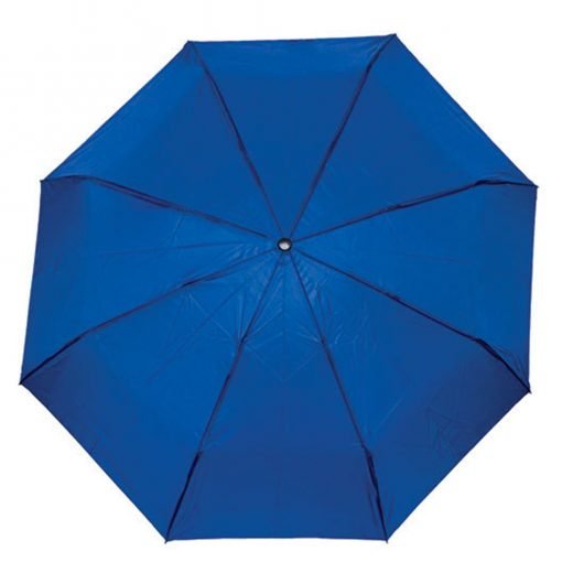 3 Fold Manual Open Umbrella (LS0078)
