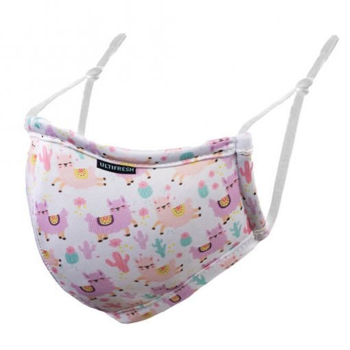 Reusable 3-Ply Anti-Bacterial Kids Face Mask (EC007)