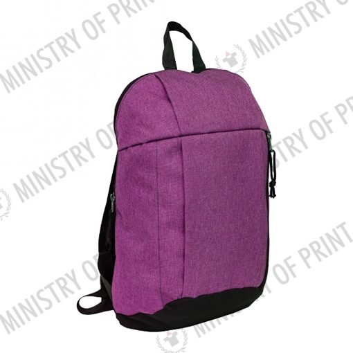 2 Tone Nylon Backpack w Laptop Pocket (B0270)