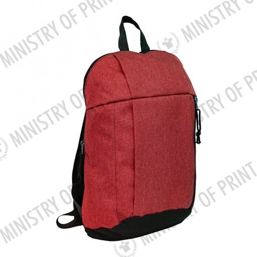 2 Tone Nylon Backpack w Laptop Pocket (B0270)