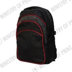 Exclusive Laptop Backpack (B0273)