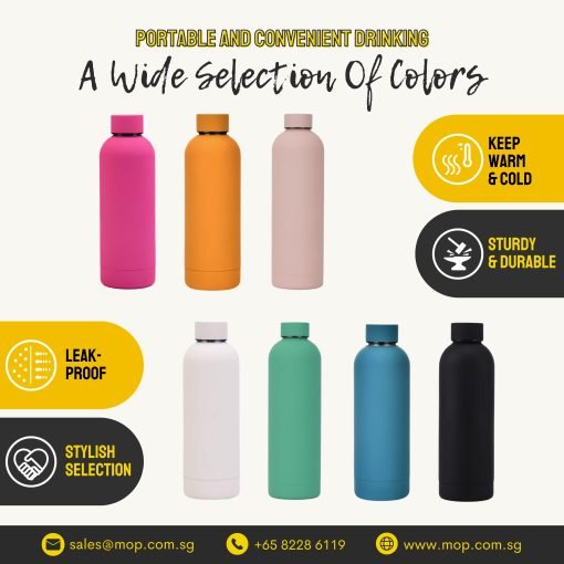 304 Stainless Steel Sports Water Bottle (DW0159)