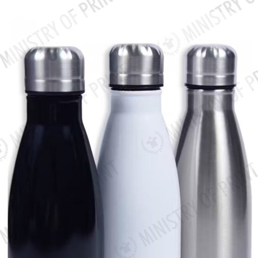 500ml Insulated Stainless Steel Sports Bottle (DW0169)