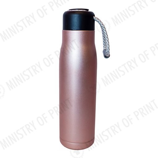 550ml Stainless Steel Bottle (DW0216)