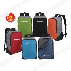 Stylish Color Block Backpack (B0342)