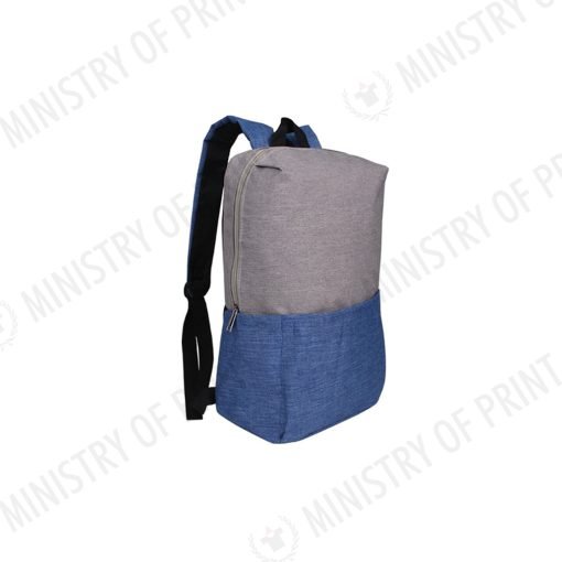 Stylish Two-Tone Backpack (B0341)