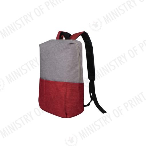 Stylish Two-Tone Backpack (B0341)