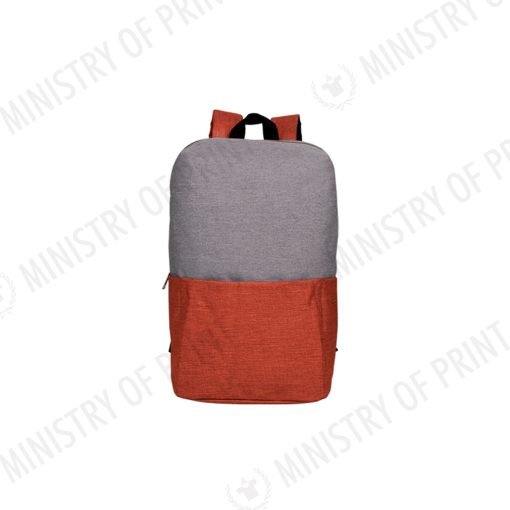 Stylish Two-Tone Backpack (B0341)