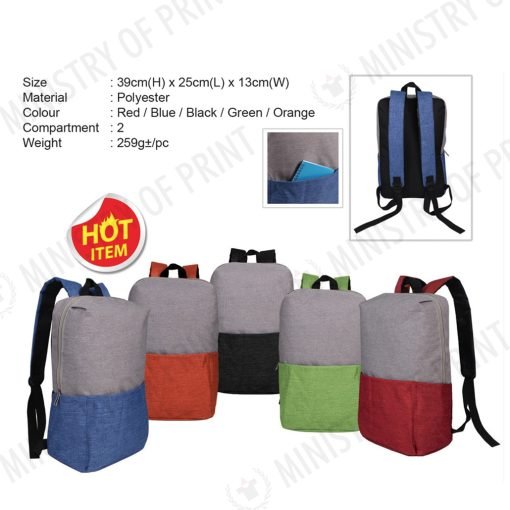 Stylish Two-Tone Backpack (B0341)