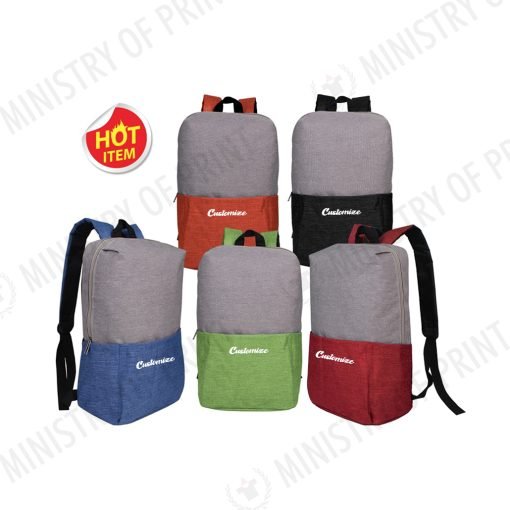 Stylish Two-Tone Backpack (B0341)