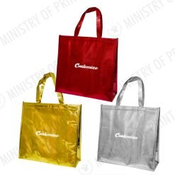 Insulated Cooler/Warmer Bag (B0295)
