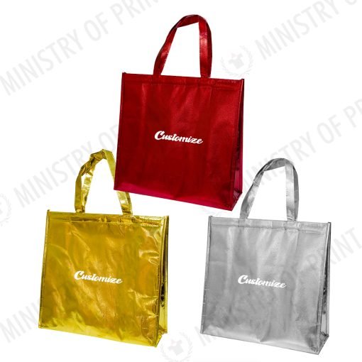 Insulated Cooler/Warmer Bag (B0295)
