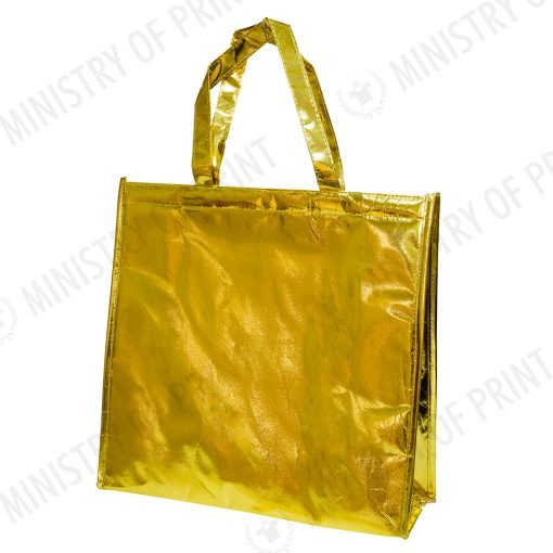 Insulated Cooler/Warmer Bag (B0295)