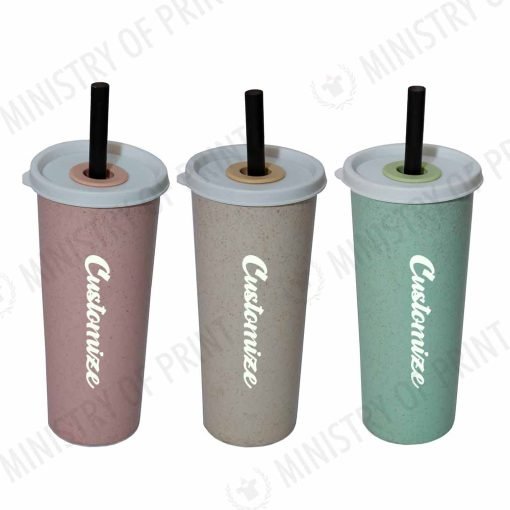 500ml Wheat Fiber Tumbler with Straw (DW0226)