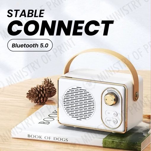 I-Retro Multifunction Speaker (GE0153)