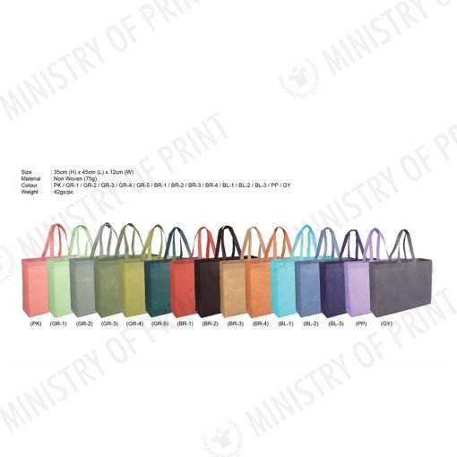Non Woven Bag (Ultrasonic) (B0380)