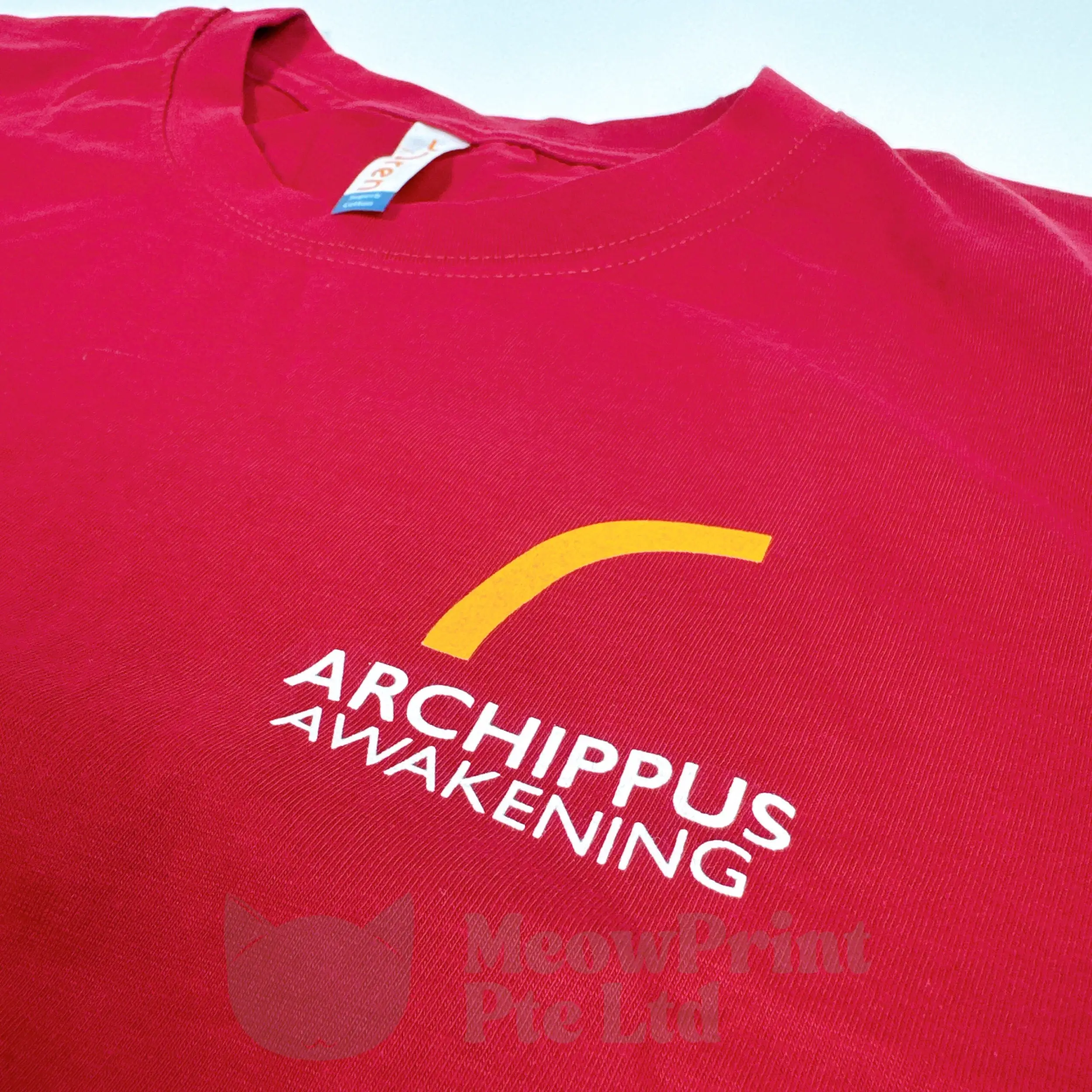 Archippus-Awakening-20-Jun-2024-1-scaled