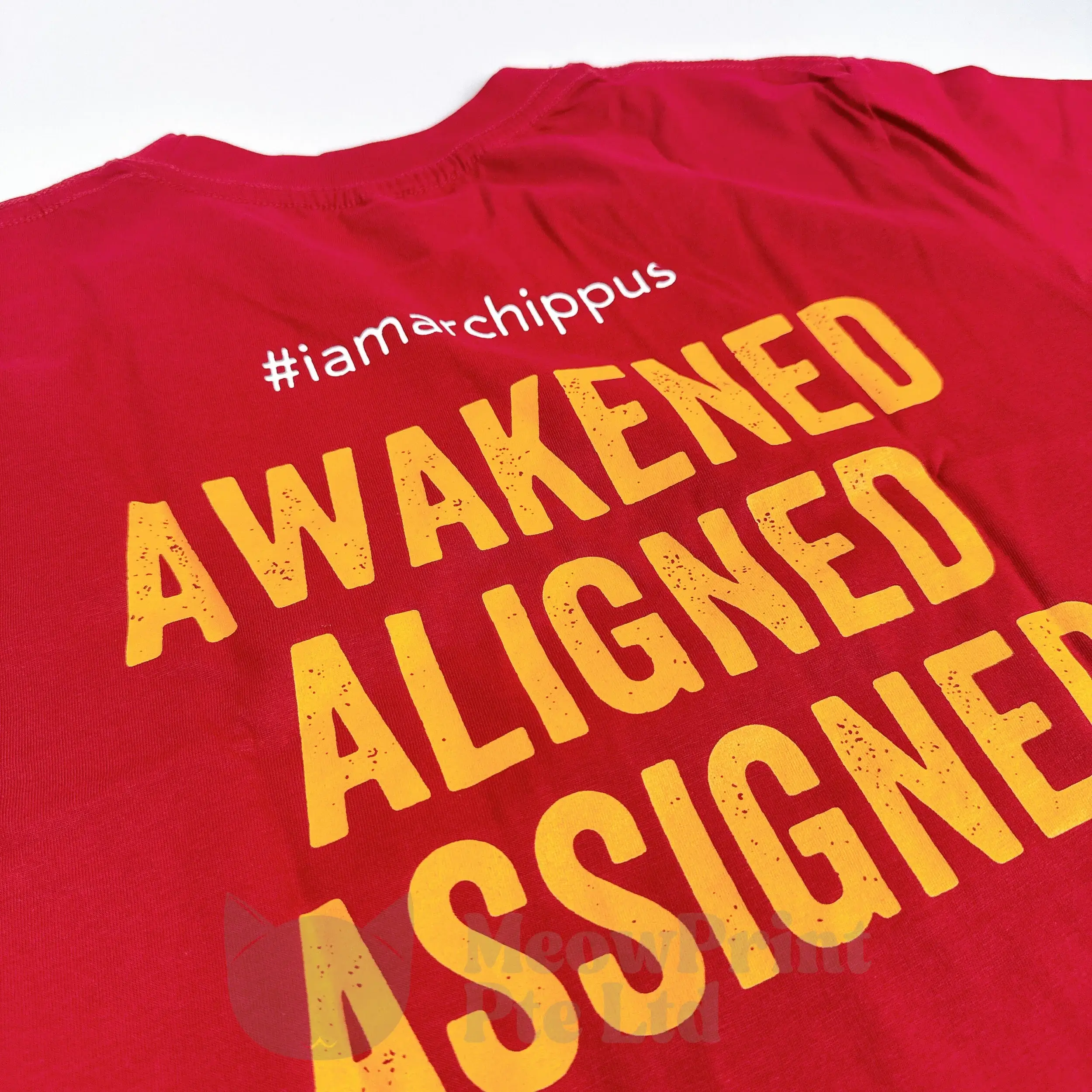 Archippus-Awakening-20-Jun-2024-3-scaled-1.webp